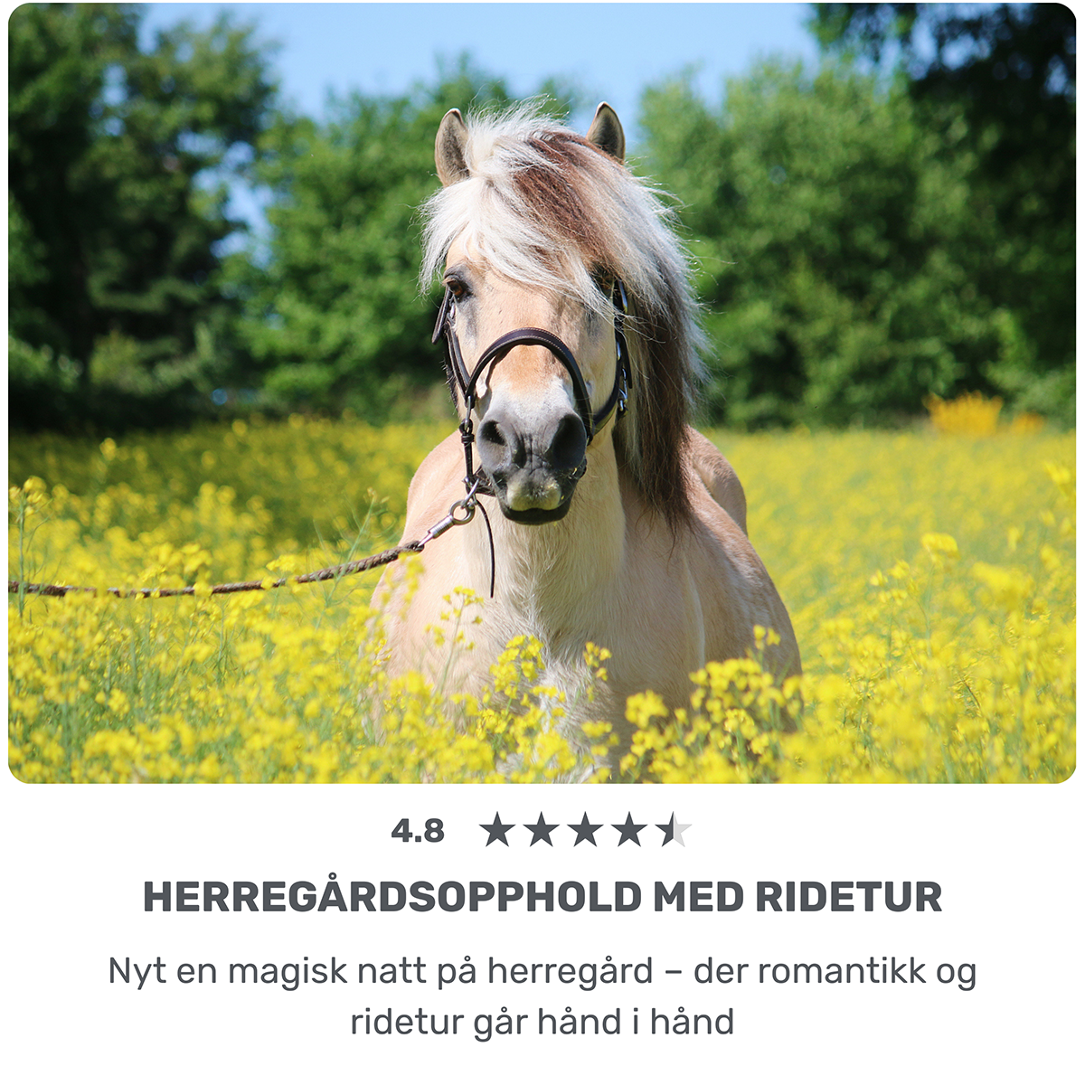 Herregårdsopphold med ridetur